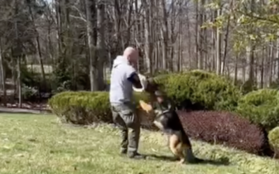 K-9 Sgt. Lanzer on Personal Growth